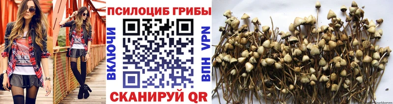 Галлюциногенные грибы Psilocybe  Полтавская 
